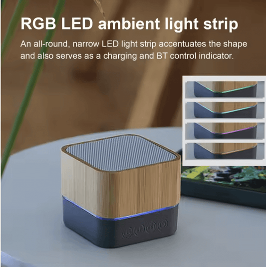 Wireless portable speaker