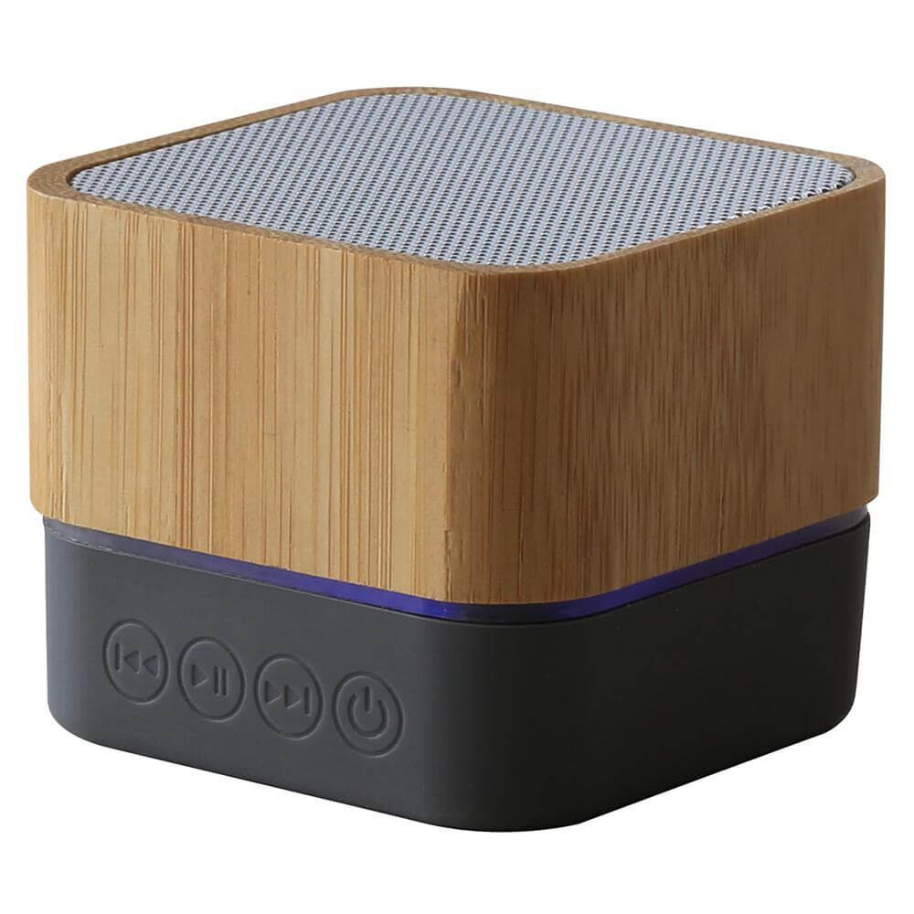 Wireless portable speaker