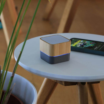 Wireless portable speaker