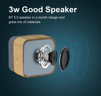 Wireless portable speaker