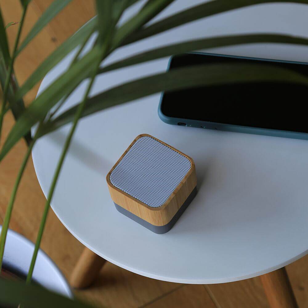 Wireless portable speaker