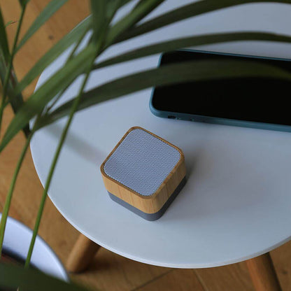 Wireless portable speaker